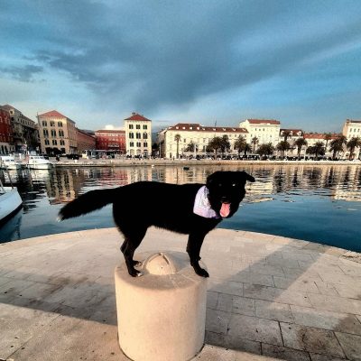 Riva Split Crotia в марте — фото погоды (2026-03-21)