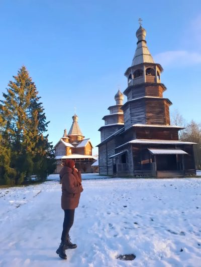 Витославлицы в ноябре — фото погоды (2025-11-23)