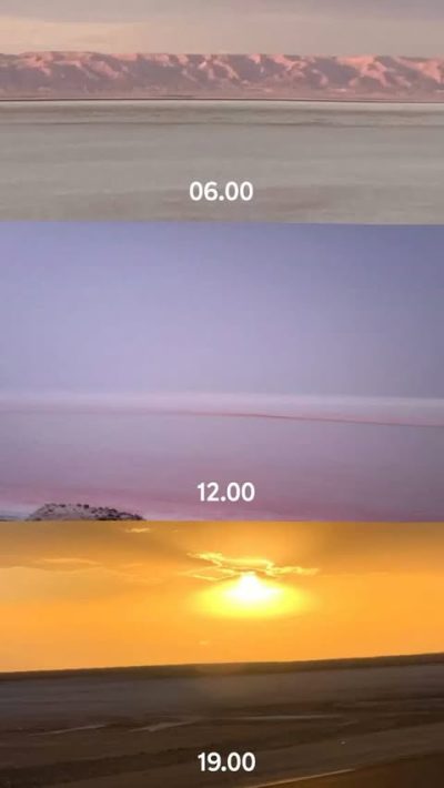 Тозер в июле — фото погоды (2026-07-17)