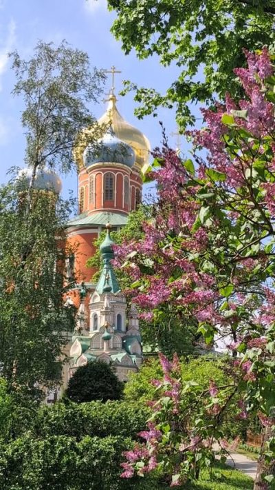 Донской монастырь в мае — фото погоды (2026-05-19)