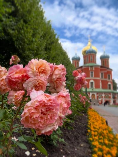Донской монастырь в июне — фото погоды (2026-06-29)
