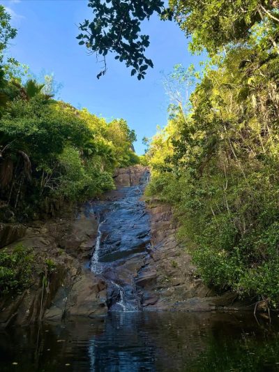Sauzier Waterfall в ноябре — фото погоды (2025-11-08)