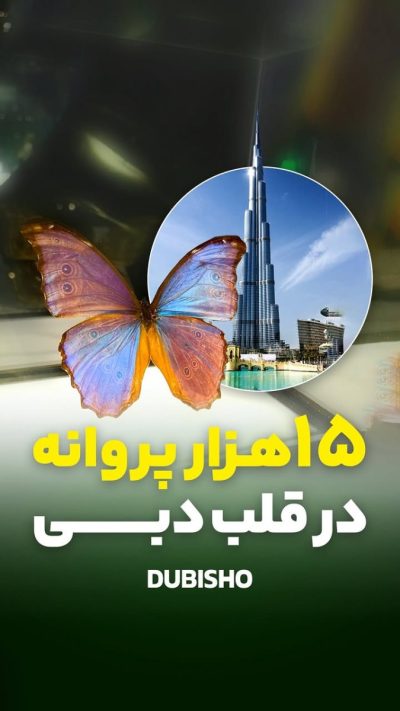 Dubai Butterfly Garden в июне — фото погоды (2026-06-24)