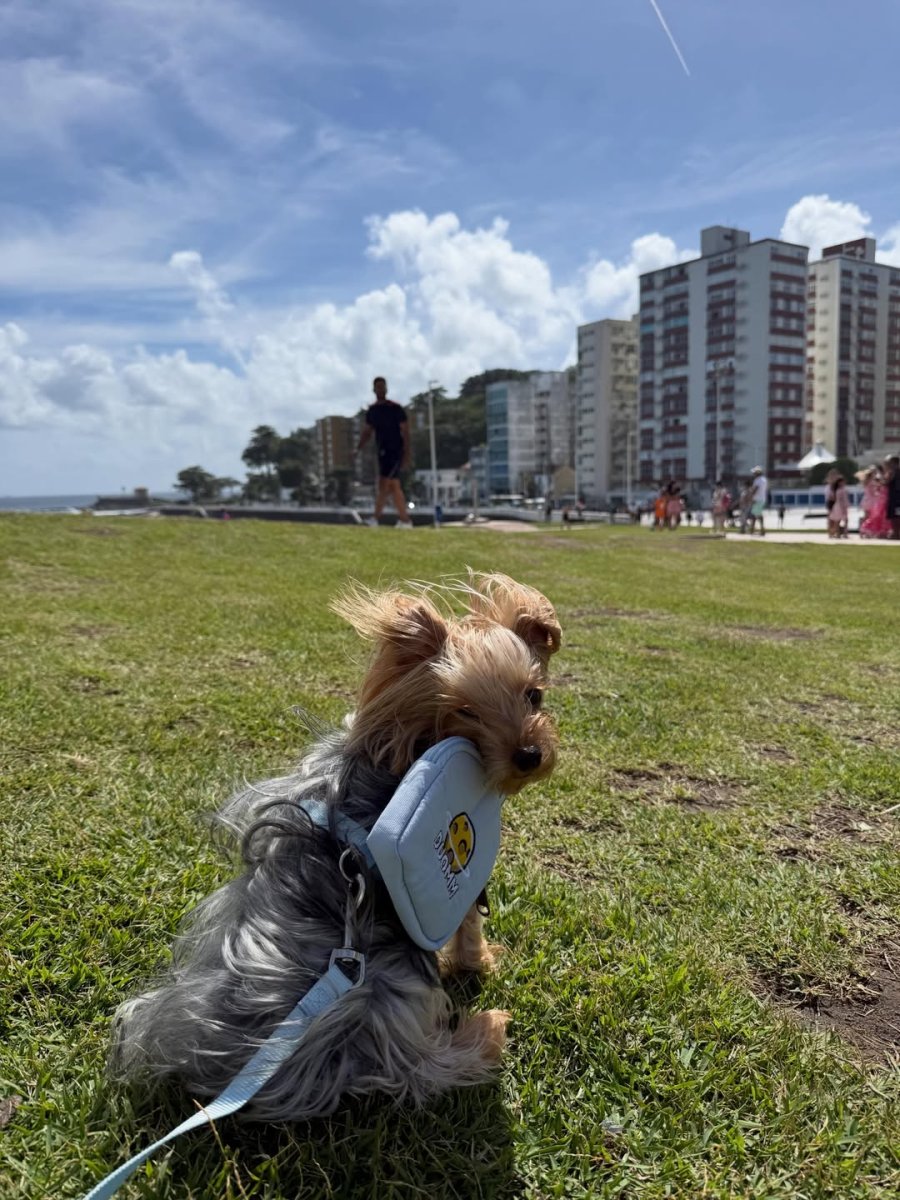 Погода в Salvador Farol da Barra