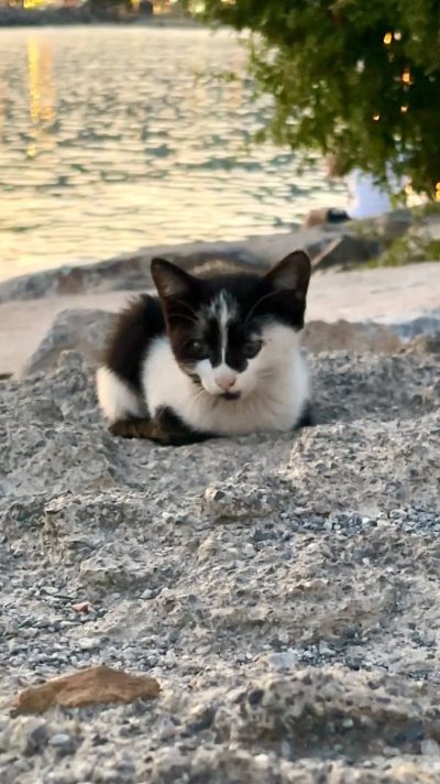 Alanya Deniz Feneri в июне — фото погоды (2026-06-29)