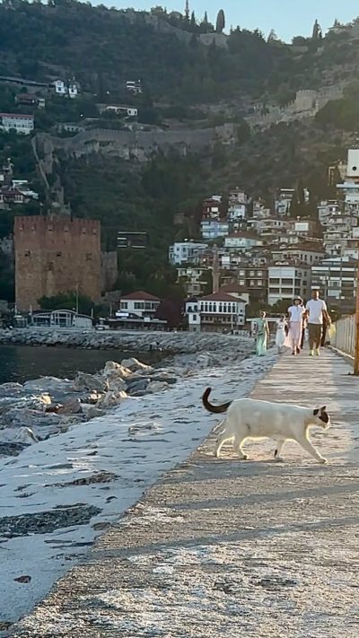Alanya Deniz Feneri в июне — фото погоды (2026-06-30)