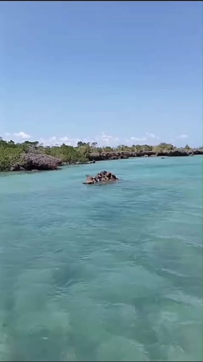 Safari blue Zanzibar в сентябре — фото погоды (2025-09-04)