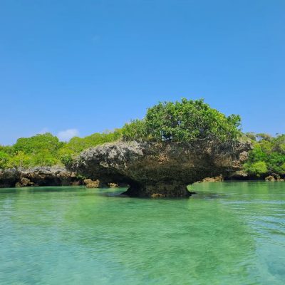 Safari blue Zanzibar в ноябре — фото погоды (2025-11-19)