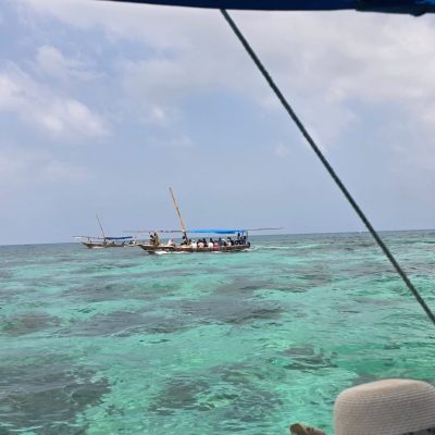 Safari blue Zanzibar в январе — фото погоды (2026-01-15)