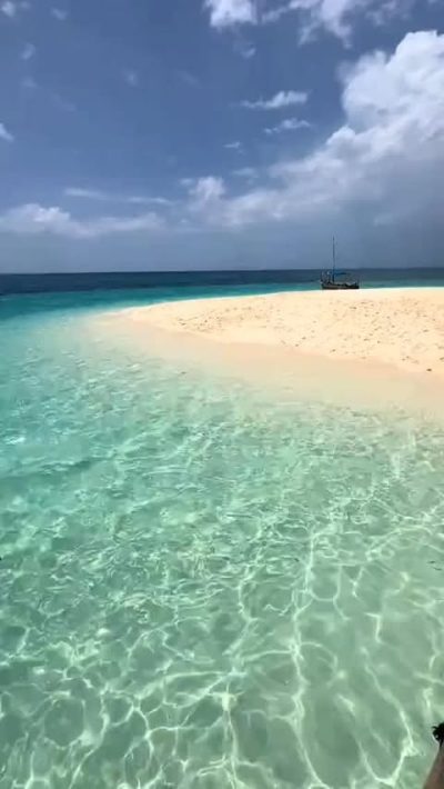 Safari blue Zanzibar в апреле — фото погоды (2026-04-13)