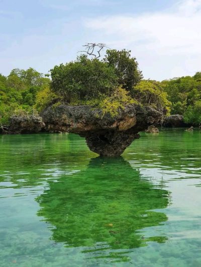 Safari blue Zanzibar в апреле — фото погоды (2026-04-28)