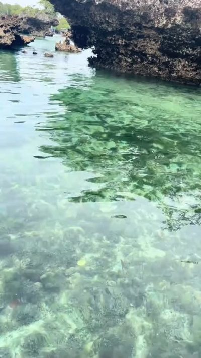 Safari blue Zanzibar в июне — фото погоды (2026-06-02)