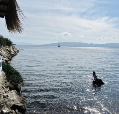 Akyarlar köyü, Bodrum в ноябре — фото погоды (2025-11-09)