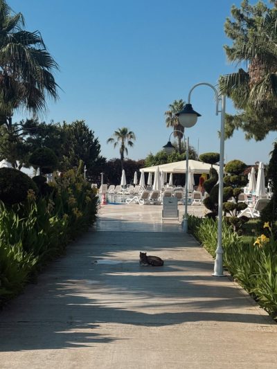 Club Hotel Phaselis Rose — фото погоды в июне (2026-06-27)