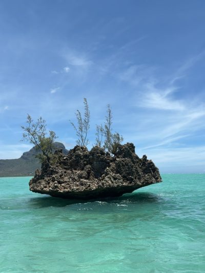 Ile Aux Benitiers Mauritius в январе — фото погоды (2026-01-26)
