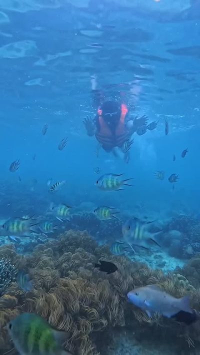 Moalboal,Cebu в феврале — фото погоды (2026-02-27)