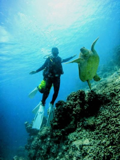 Moalboal,Cebu в марте — фото погоды (2026-03-04)