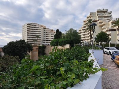 Benalmadena Beach, costa del Sol, spain — фото погоды в феврале (2025-02-11)