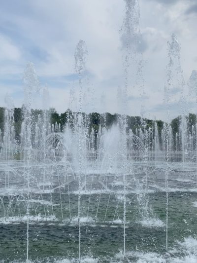 Царицынский Парк в июне — фото погоды (2026-06-08)