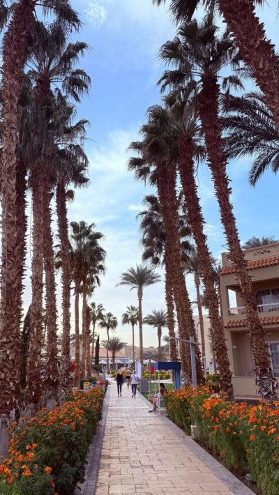 Hurgadah, Egypt в феврале — фото погоды (2026-02-03)