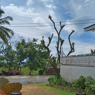 Barangay Taytay,Badian,Cebu в августе — фото погоды (2021-08-13)