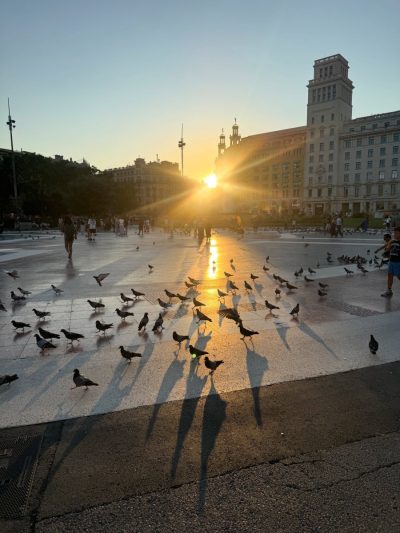 Салоу в июле — фото погоды (2026-07-06)