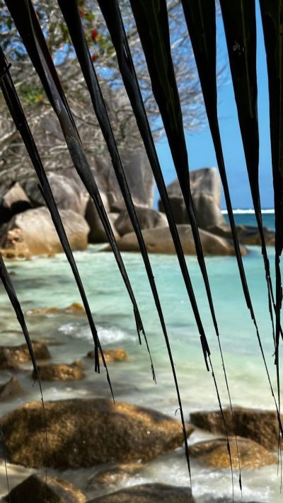 La Digue. Seychelles в июле — фото погоды (2026-07-11)