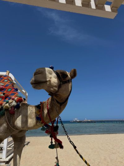 Egipt Marsa Alam в мае — фото погоды (2026-05-27)