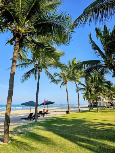 My Khe Beach в феврале — фото погоды (2026-02-23)