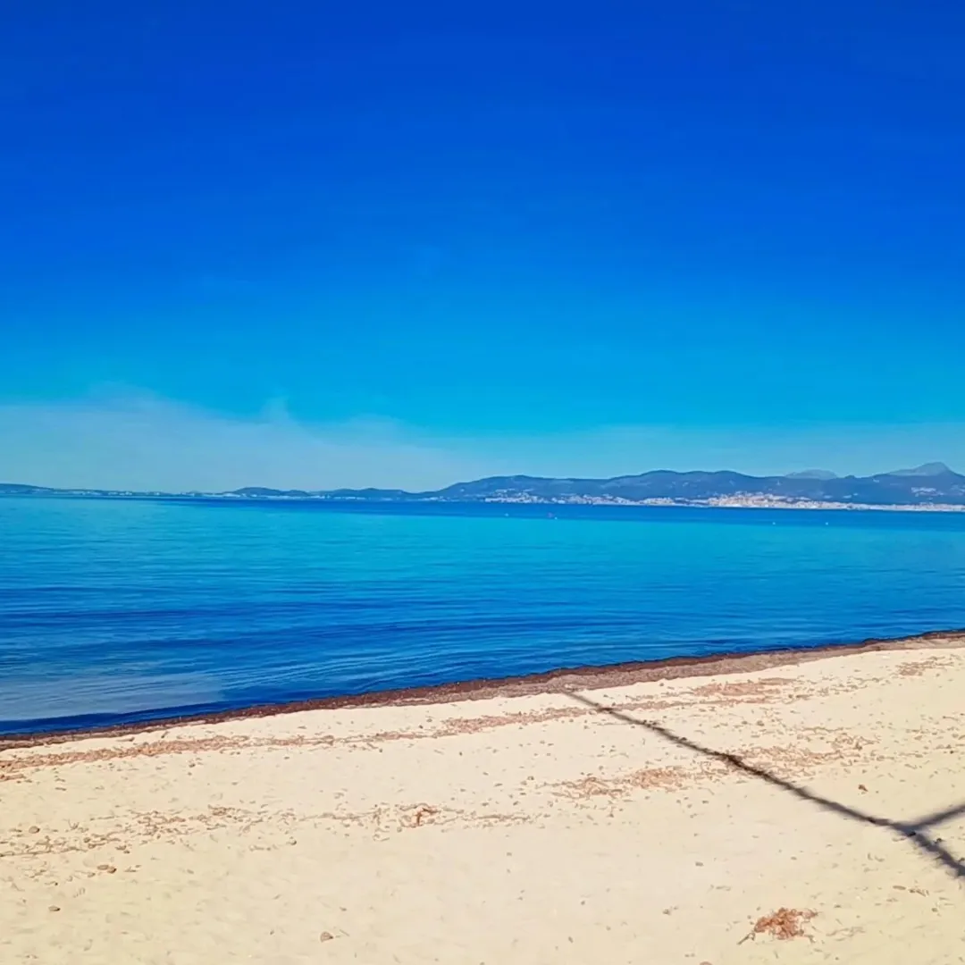 Погода в Palma de Mallorca-Espanha