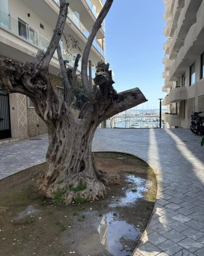 Palma de Mallorca-Espanha — фото погоды в апреле (2026-04-21)