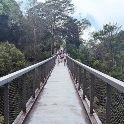 The Habitat Penang Hill в марте — фото погоды (2026-03-01)