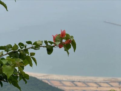 Đèo Hải Vân в мае — фото погоды (2026-05-07)
