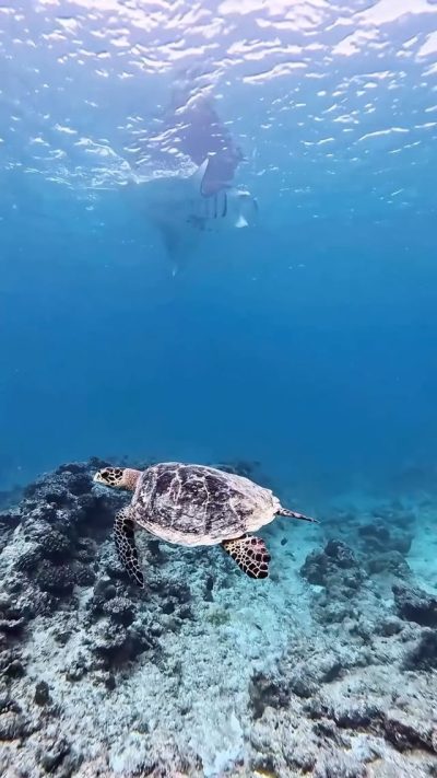 Kandolhu Maldives в январе — фото погоды (2026-01-25)