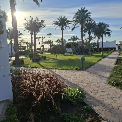 Shams Safaga Resort в январе — фото погоды (2026-01-12)