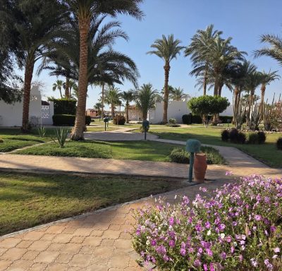 Shams Safaga Resort в апреле — фото погоды (2026-04-21)