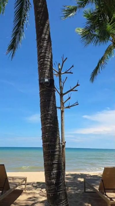 Salinda Resort Phu Quoc Island, Vietnam — фото погоды в июне (2026-06-16)