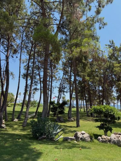 Mirage Park Resort / GÜRİŞ — фото погоды в июле (2026-07-10)