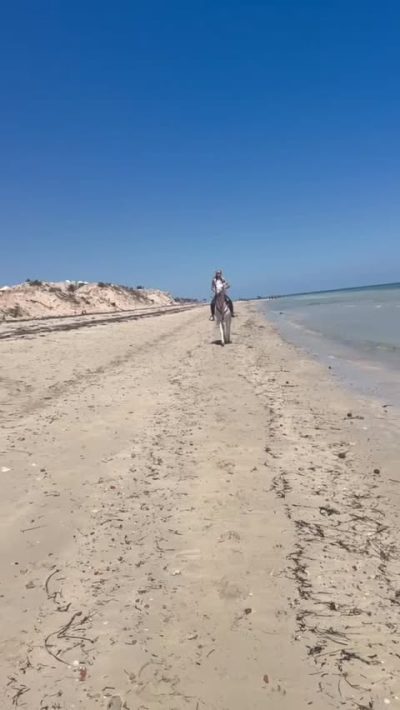 Djerba Sun Beach, Hotel & Spa — фото погоды в мае (2026-05-21)