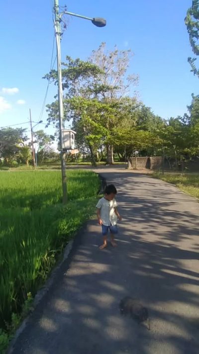 Batu Layar, Batu Layar, Lombok Barat в июле — фото погоды (2026-07-07)