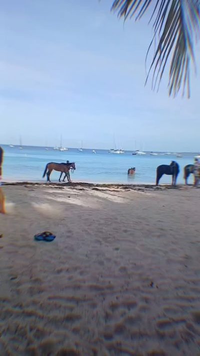 Pebble Beach, Bridgetown, Barbados в марте — фото погоды (2026-03-29)