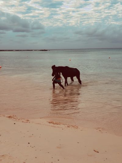 Pebble Beach, Bridgetown, Barbados в апреле — фото погоды (2026-04-15)
