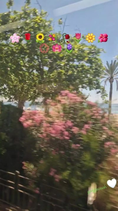 Jardín Botánico Marimurtra в мае — фото погоды (2026-05-27)
