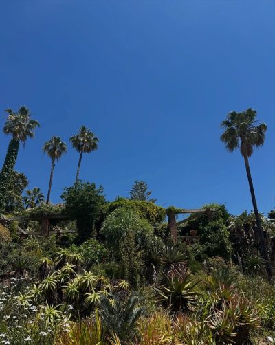 Jardín Botánico Marimurtra в мае — фото погоды (2026-05-29)