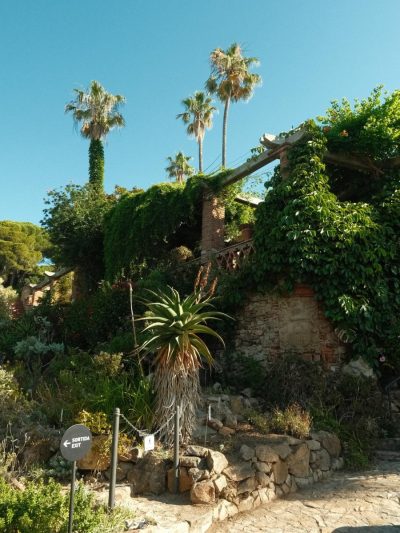 Jardín Botánico Marimurtra в июне — фото погоды (2026-06-19)