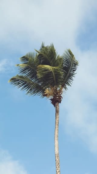 Anse Mondon - Seychelles в августе — фото погоды (2022-08-15)