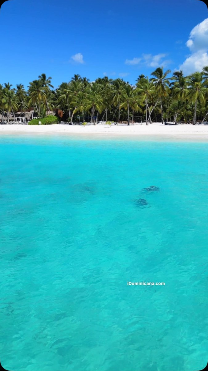 Погода в Barcelo Bavaro Palace