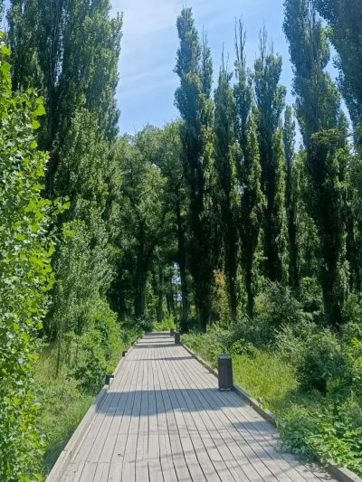Бархан Сарыкум в июле — фото погоды (2026-07-05)