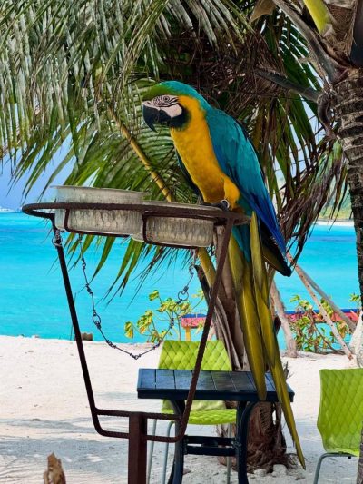 Adaaran HudhuranFushi Island Resort, Maldives — фото погоды в феврале (2026-02-28)