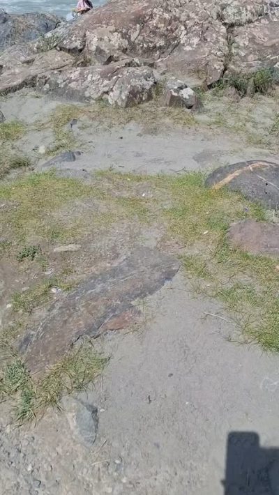 Республика Алтай в июле — фото погоды (2025-07-22)